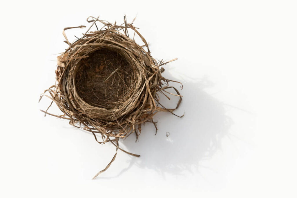 surviving empty nest syndrome after dropping kids at college