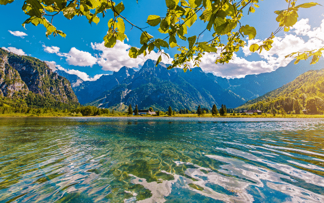 Tranquil mountain lake viewed from under the shade of leafy branches.